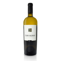 Carvalhas Branco
