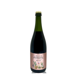 Quinta do Tamariz Pet Nat Rosé